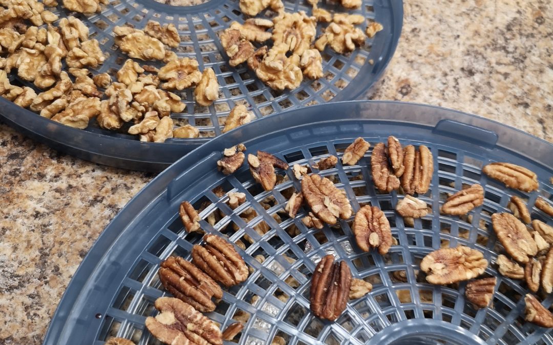 Why I Soak My Pecans….